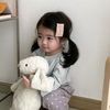 nisaarorr_2