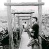 zeant_arfa88