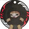 ffwodisc