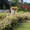 thuha_0391