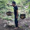tukang_angon__