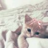 alow__00