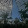 atilla_yau