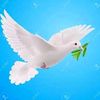 birhan18