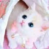 user8084423981438fariya