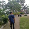 wiwik2907