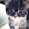 aesthetic_kitty9sep