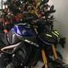damianarias910