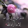 mahmoud.hamdy.mah0