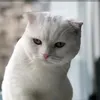 meereswelle2