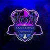 s.sgamingcriminnal