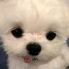 itsssmejayrald