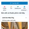 linh828228