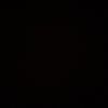 syris_yang