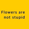 Flowers are not stupid