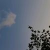 oliversky0_