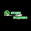 ucing_04