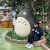han_xinh12