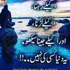alishahmeer02