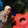 alfanirizka