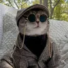 pemulunghatiii
