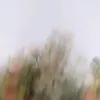 sofxxxud