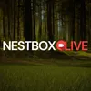 Nest Box Live