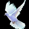 www.tiktok.comukyaw2