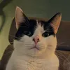sophalwayshungry