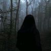 aseel._18