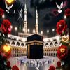 shugri819