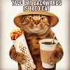 tacocat_78