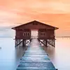 mddeloar7464