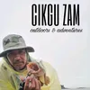 czamr1