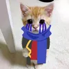 errror_4.0.4