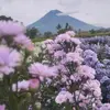 semeru_17