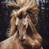 user63skzhjd3h
