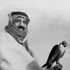 محمد العنزي |🇸🇦