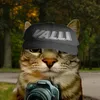 valli_cars