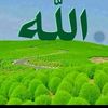 user4586818625739