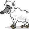notawolfinsheepsclothing