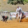 ciro.barbosa6