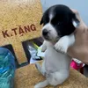 bunchaiuuu._06