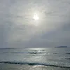userprzf2s1ga6