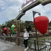 kynguyenne