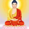trnhoa0524