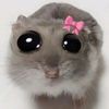 its_zahira131