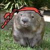 mmortalwombat