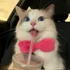 athenadane_