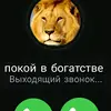 48qyiy